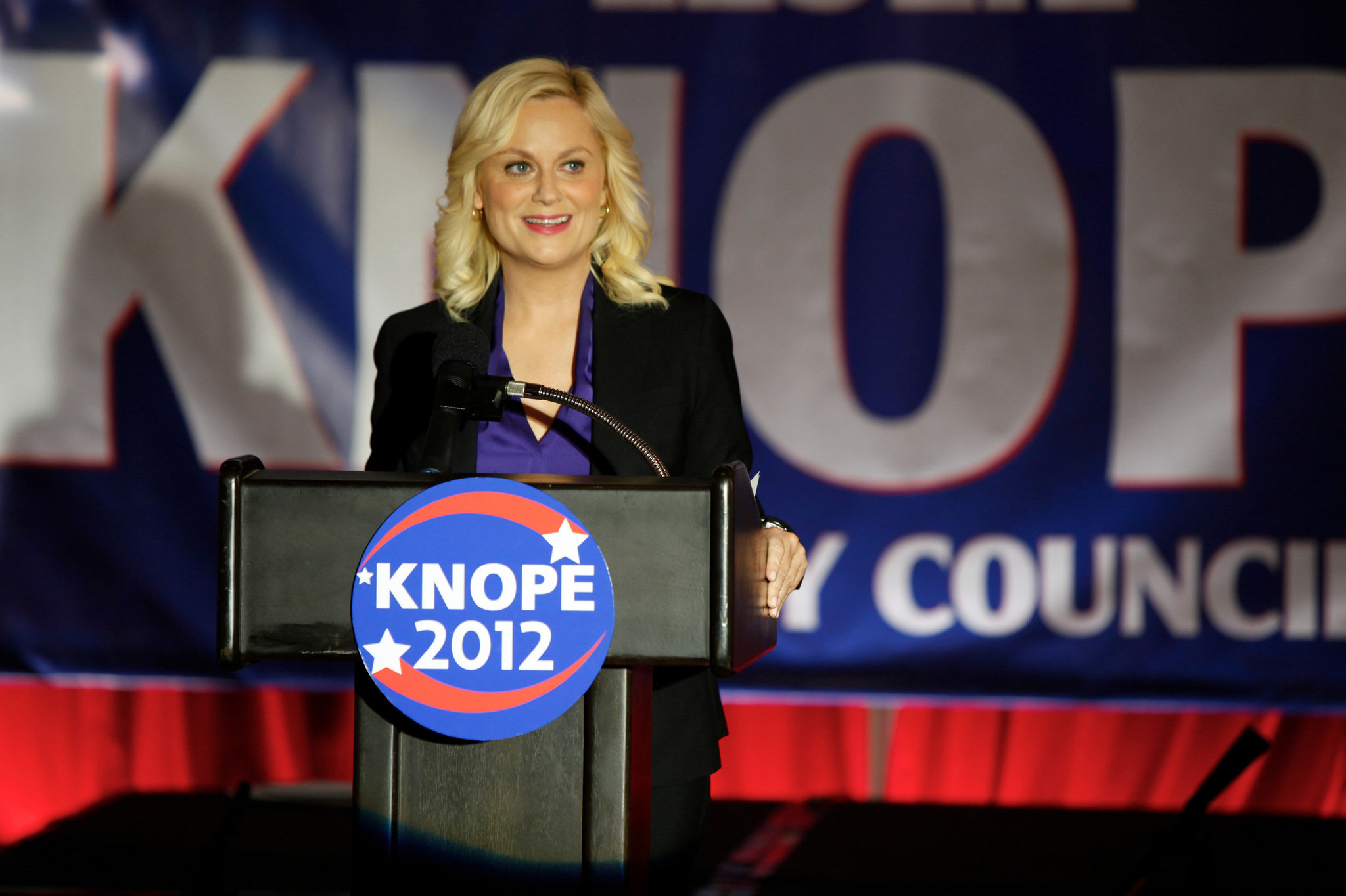 Image result for leslie knope local government