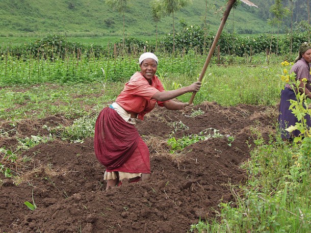 women farming